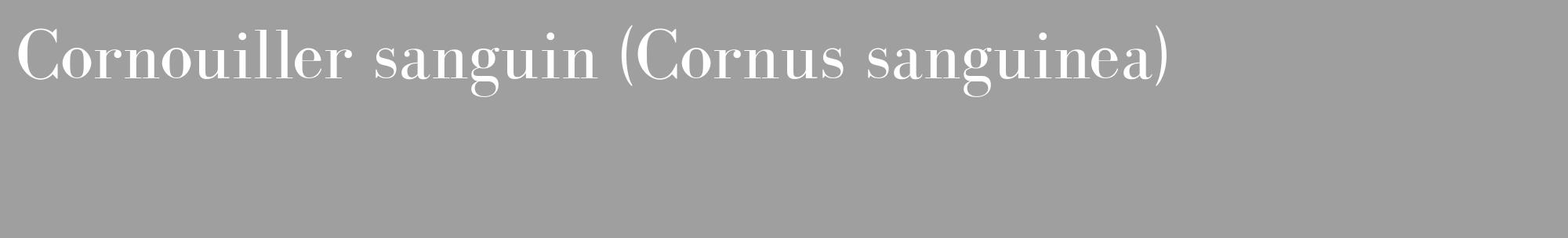 Étiquette de : Cornus sanguinea - format c - style blanche24_basique_basiquebod avec comestibilité