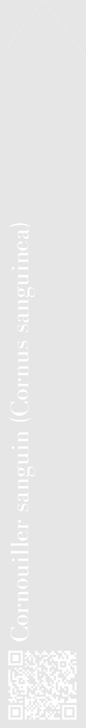 Étiquette de : Cornus sanguinea - format c - style blanche18_simple_simplebod avec qrcode et comestibilité - position verticale