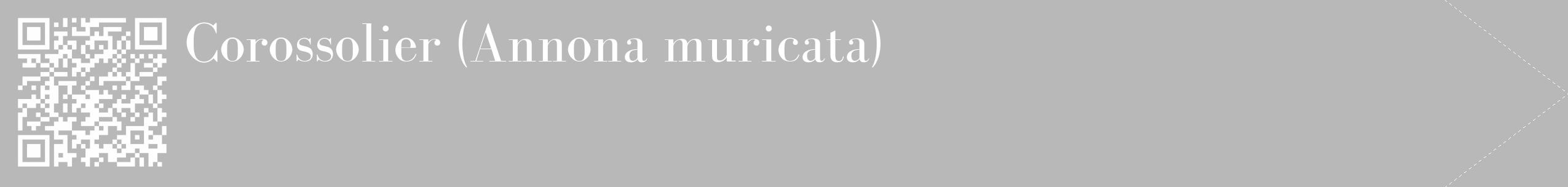 Étiquette de : Annona muricata - format c - style blanche39_simple_simplebod avec qrcode et comestibilité