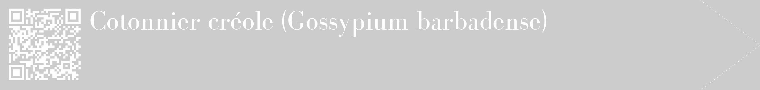 Étiquette de : Gossypium barbadense - format c - style blanche0_simple_simplebod avec qrcode et comestibilité