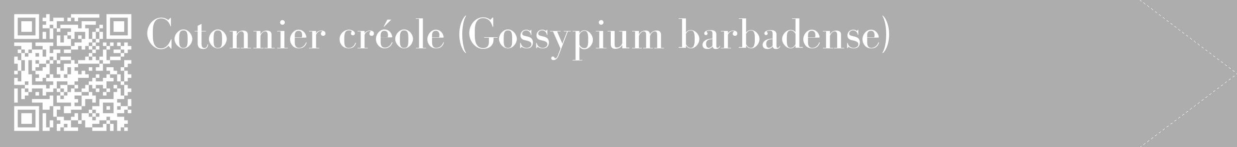 Étiquette de : Gossypium barbadense - format c - style blanche22_simple_simplebod avec qrcode et comestibilité
