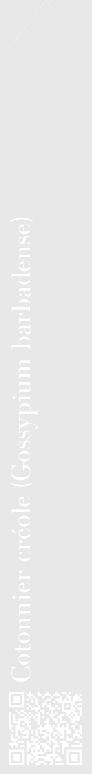 Étiquette de : Gossypium barbadense - format c - style blanche55_simple_simplebod avec qrcode et comestibilité - position verticale