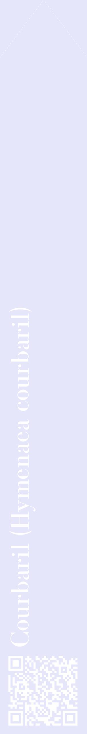 Étiquette de : Hymenaea courbaril - format c - style blanche55_simplebod avec qrcode et comestibilité