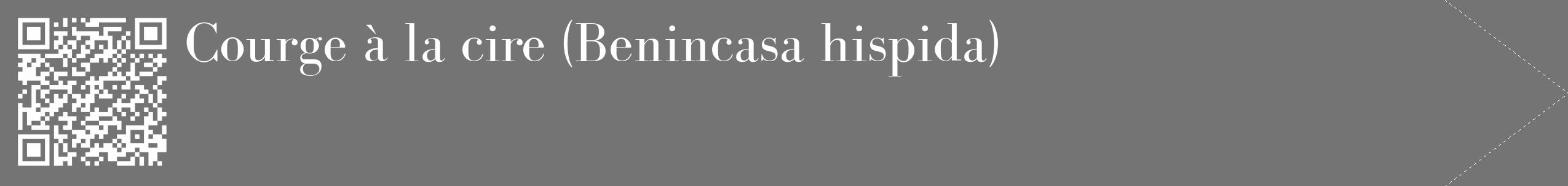 Étiquette de : Benincasa hispida - format c - style blanche26_simple_simplebod avec qrcode et comestibilité