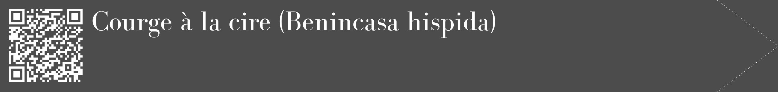 Étiquette de : Benincasa hispida - format c - style blanche27_simple_simplebod avec qrcode et comestibilité