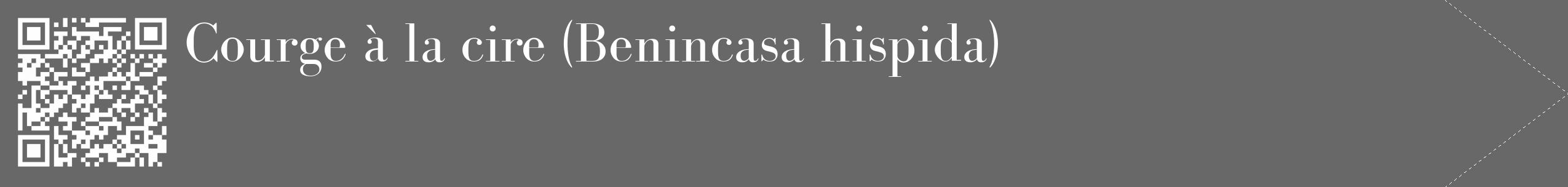 Étiquette de : Benincasa hispida - format c - style blanche43_simple_simplebod avec qrcode et comestibilité