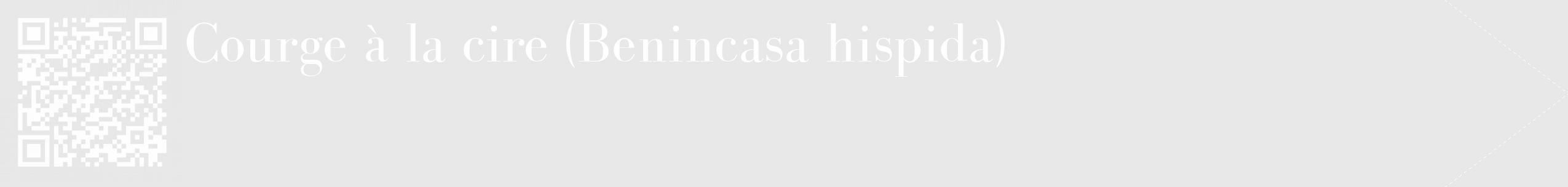 Étiquette de : Benincasa hispida - format c - style blanche55_simple_simplebod avec qrcode et comestibilité