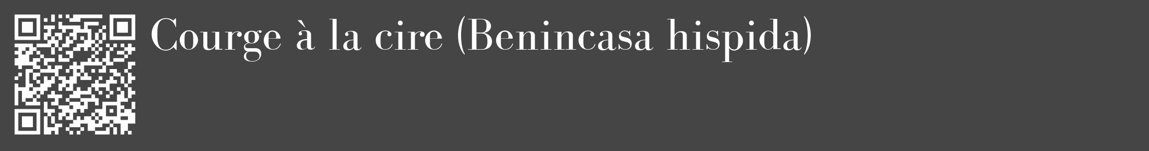 Étiquette de : Benincasa hispida - format c - style blanche58_basique_basiquebod avec qrcode et comestibilité