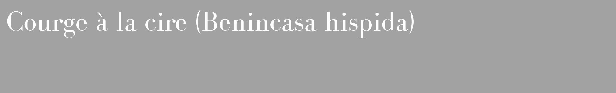 Étiquette de : Benincasa hispida - format c - style blanche38_basique_basiquebod avec comestibilité