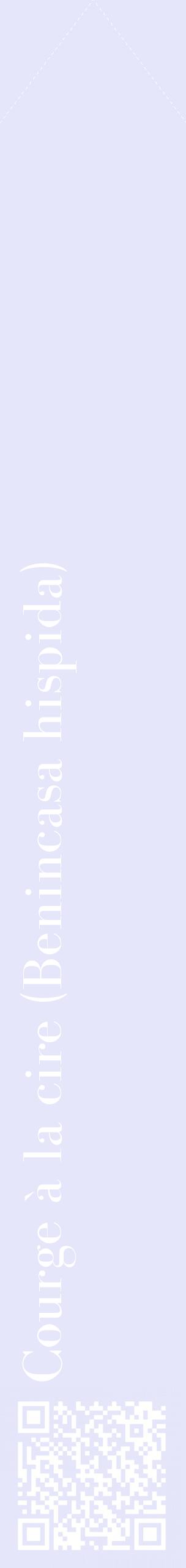Étiquette de : Benincasa hispida - format c - style blanche55_simplebod avec qrcode et comestibilité