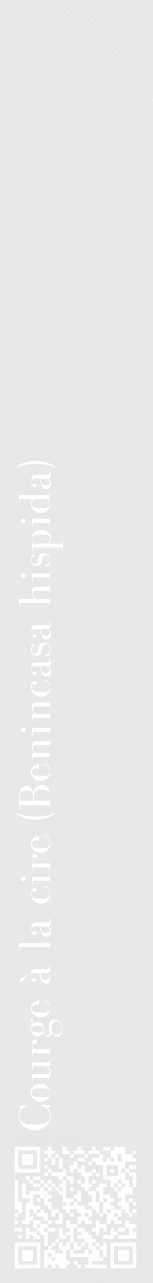 Étiquette de : Benincasa hispida - format c - style blanche55_simple_simplebod avec qrcode et comestibilité - position verticale