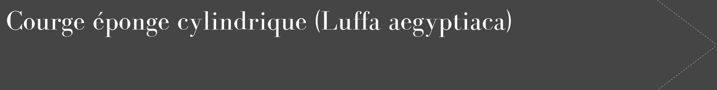 Étiquette de : Luffa aegyptiaca - format c - style blanche58_simple_simplebod avec comestibilité