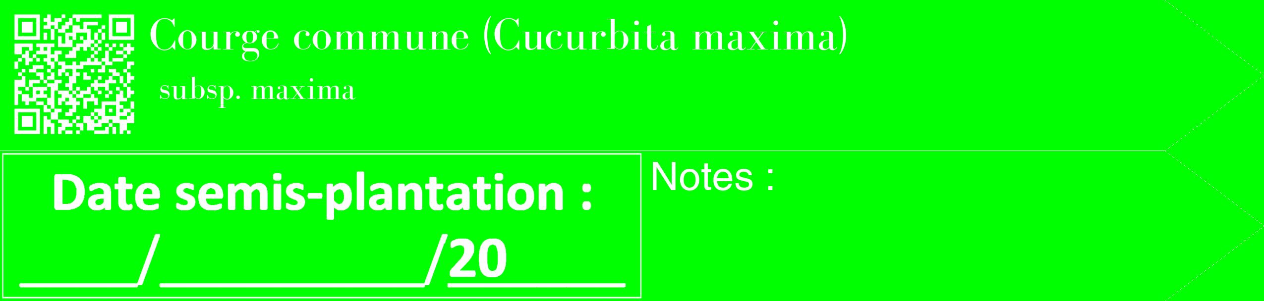 Étiquette de : Cucurbita maxima subsp. maxima - format c - style blanche16_simple_simplebod avec qrcode et comestibilité
