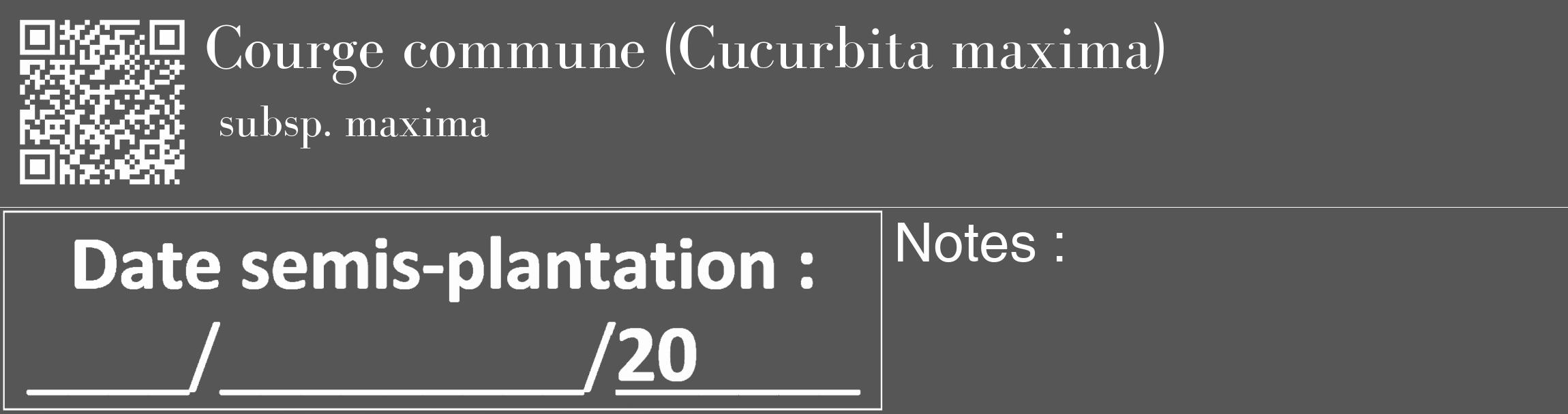 Étiquette de : Cucurbita maxima subsp. maxima - format c - style blanche45_basique_basiquebod avec qrcode et comestibilité