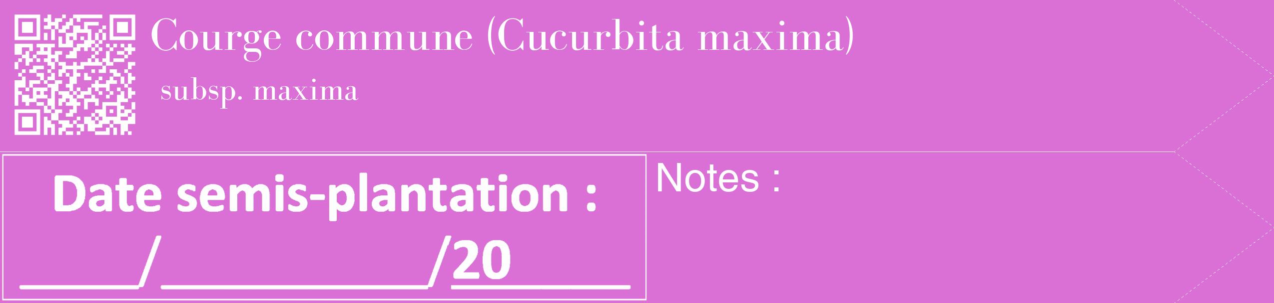 Étiquette de : Cucurbita maxima subsp. maxima - format c - style blanche52_simple_simplebod avec qrcode et comestibilité