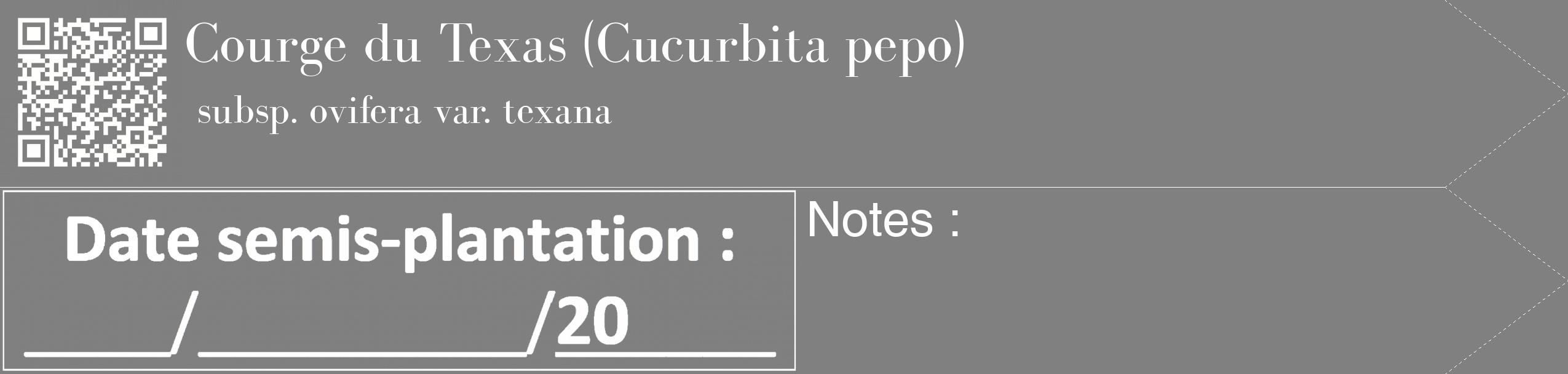 Étiquette de : Cucurbita pepo subsp. ovifera var. texana - format c - style blanche57_simple_simplebod avec qrcode et comestibilité