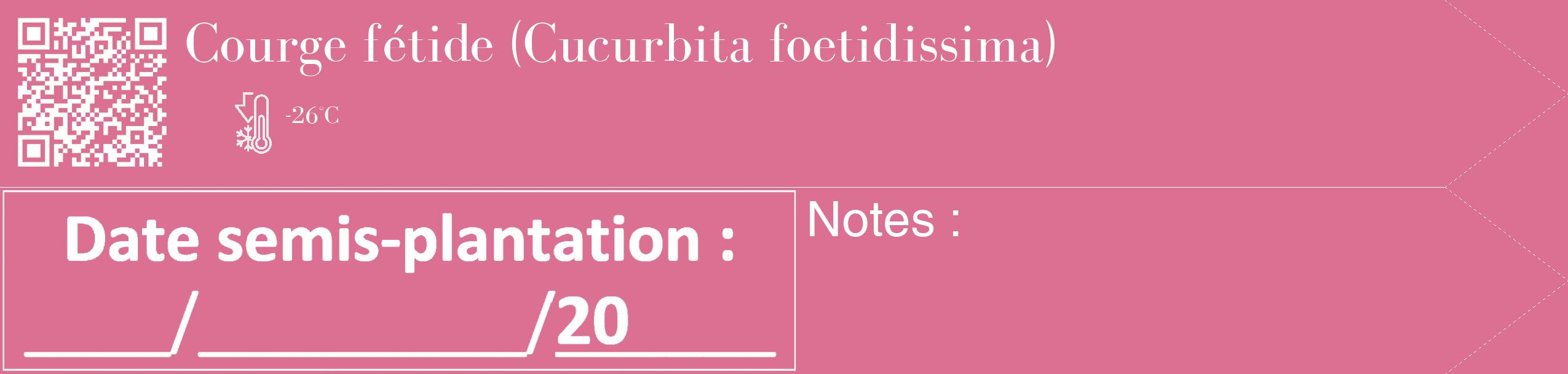 Étiquette de : Cucurbita foetidissima - format c - style blanche44_simple_simplebod avec qrcode et comestibilité