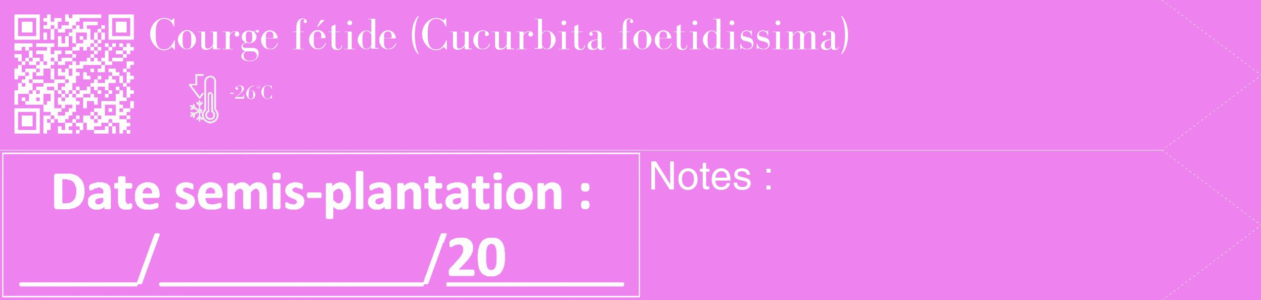 Étiquette de : Cucurbita foetidissima - format c - style blanche53_simple_simplebod avec qrcode et comestibilité