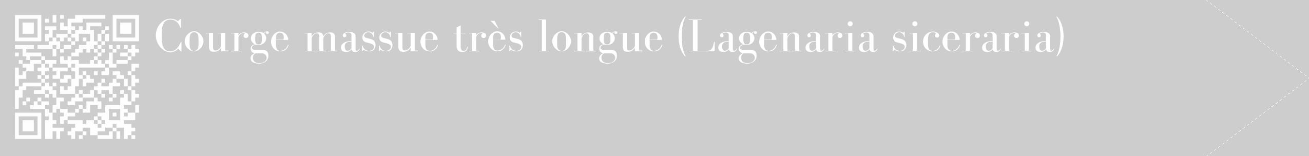 Étiquette de : Lagenaria siceraria - format c - style blanche41_simple_simplebod avec qrcode et comestibilité