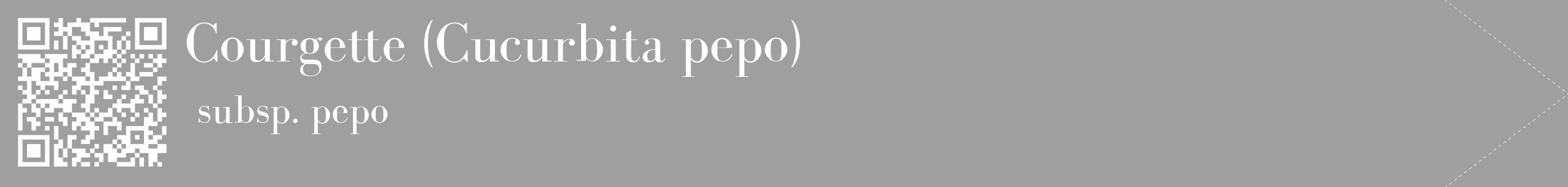 Étiquette de : Cucurbita pepo subsp. pepo - format c - style blanche24_simple_simplebod avec qrcode et comestibilité