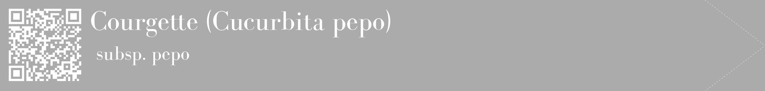 Étiquette de : Cucurbita pepo subsp. pepo - format c - style blanche37_simple_simplebod avec qrcode et comestibilité