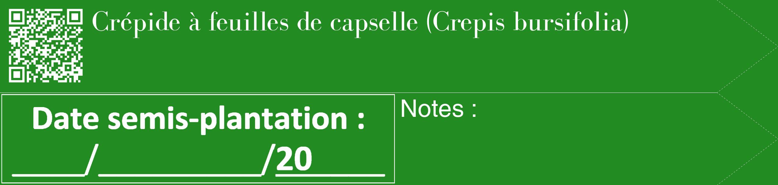 Étiquette de : Crepis bursifolia - format c - style blanche10_simple_simplebod avec qrcode et comestibilité