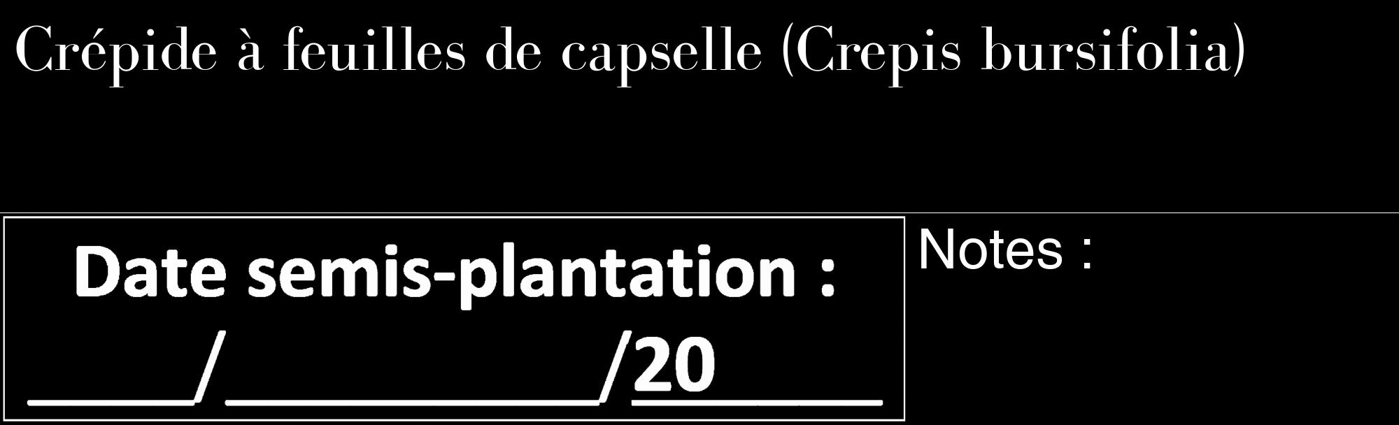 Étiquette de : Crepis bursifolia - format c - style blanche59_basique_basiquebod avec comestibilité