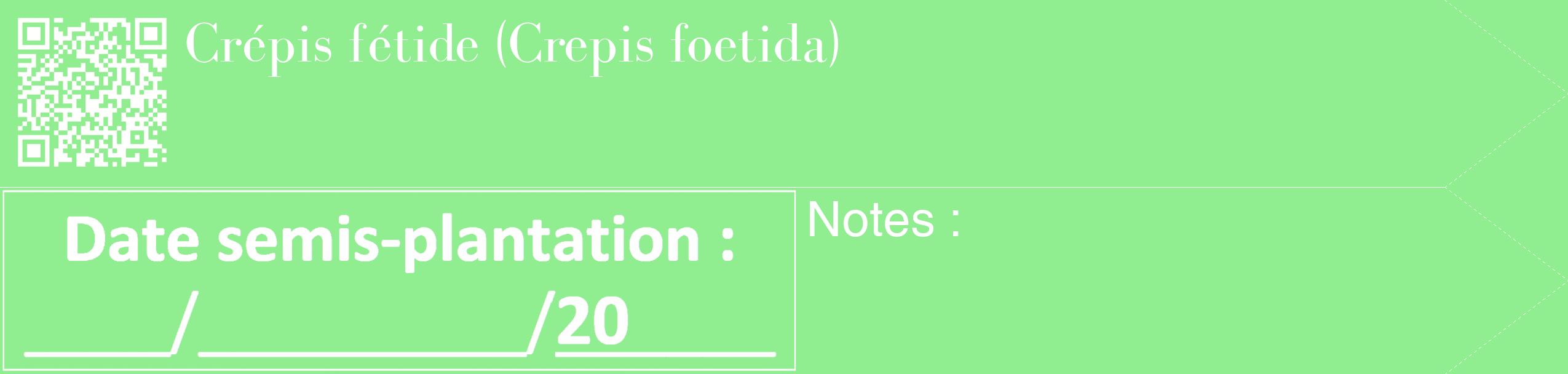 Étiquette de : Crepis foetida - format c - style blanche15_simple_simplebod avec qrcode et comestibilité