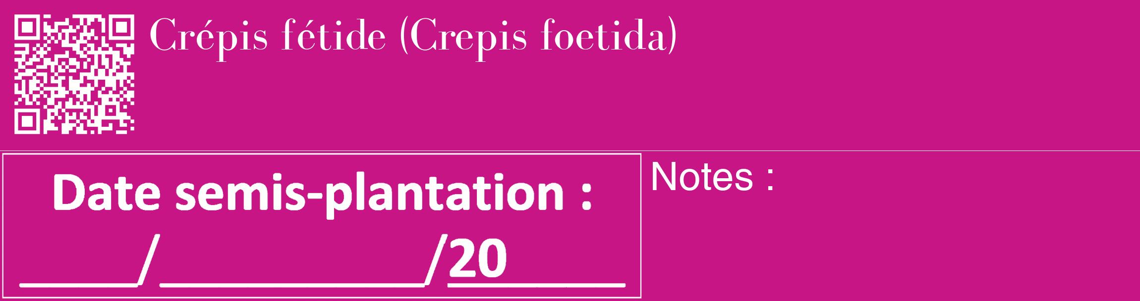 Étiquette de : Crepis foetida - format c - style blanche45_basique_basiquebod avec qrcode et comestibilité
