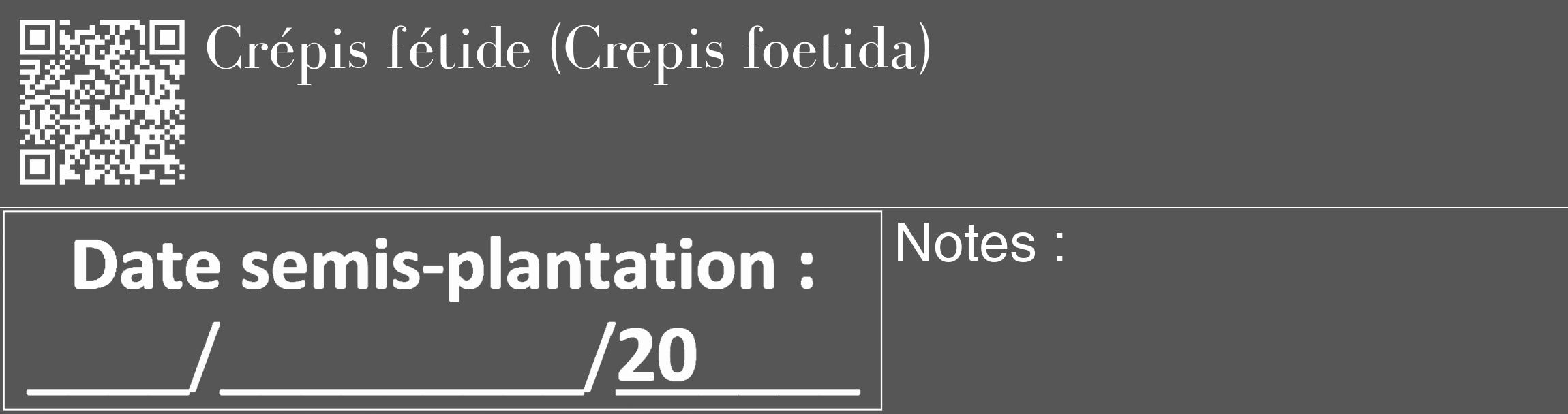 Étiquette de : Crepis foetida - format c - style blanche45_basique_basiquebod avec qrcode et comestibilité