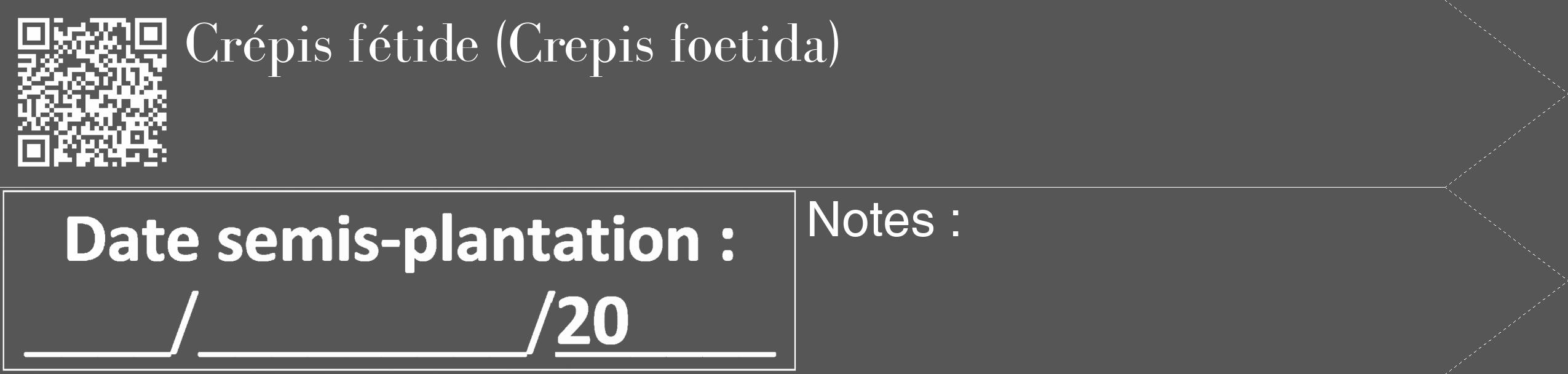 Étiquette de : Crepis foetida - format c - style blanche45_simple_simplebod avec qrcode et comestibilité