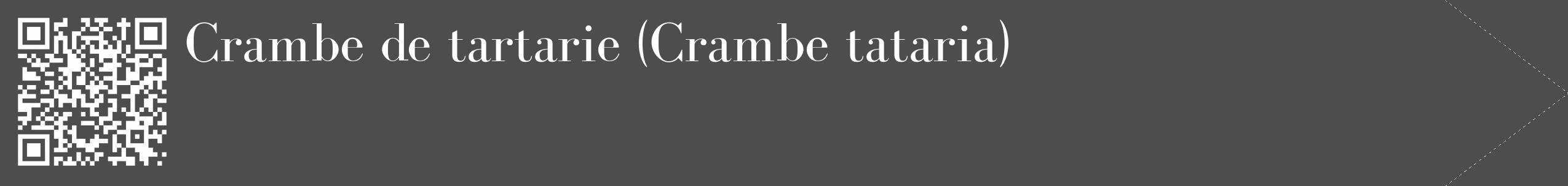 Étiquette de : Crambe tataria - format c - style blanche28_simple_simplebod avec qrcode et comestibilité