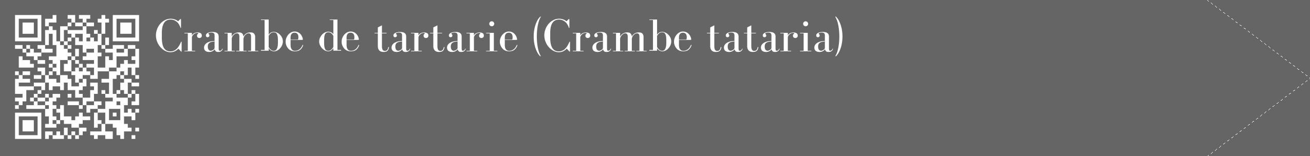 Étiquette de : Crambe tataria - format c - style blanche32_simple_simplebod avec qrcode et comestibilité