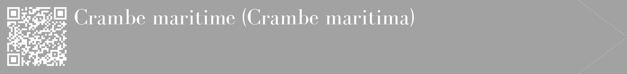 Étiquette de : Crambe maritima - format c - style blanche38_simple_simplebod avec qrcode et comestibilité