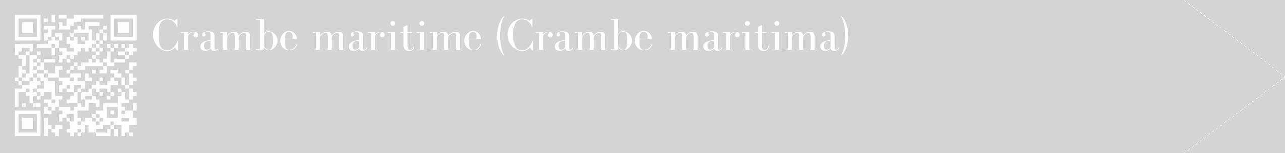 Étiquette de : Crambe maritima - format c - style blanche40_simple_simplebod avec qrcode et comestibilité