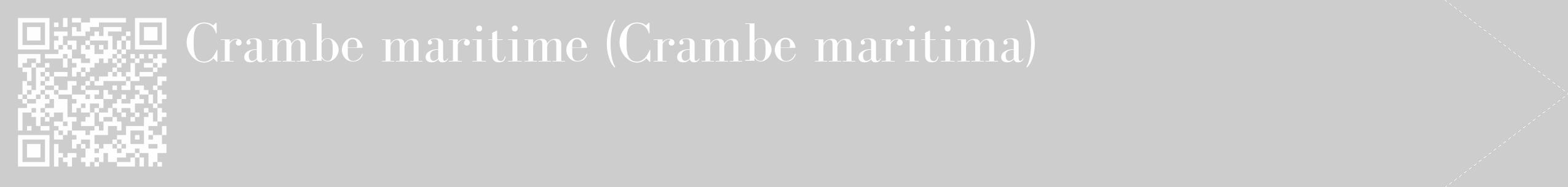 Étiquette de : Crambe maritima - format c - style blanche41_simple_simplebod avec qrcode et comestibilité