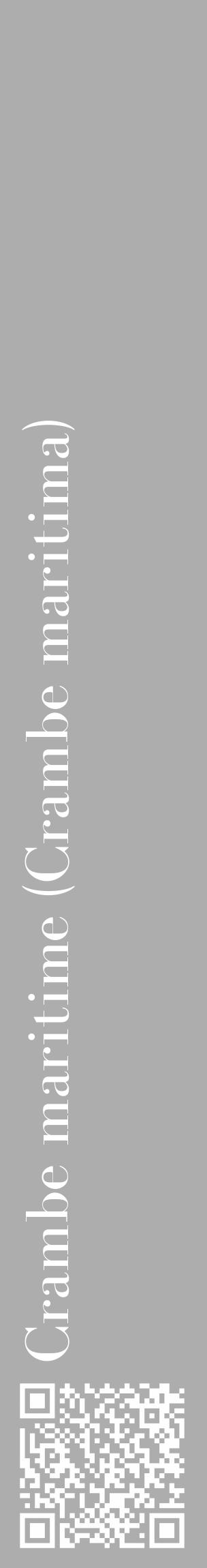 Étiquette de : Crambe maritima - format c - style blanche22_basique_basiquebod avec qrcode et comestibilité - position verticale
