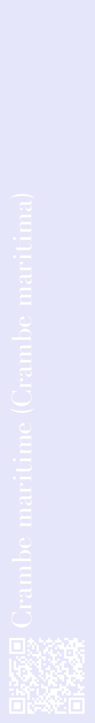 Étiquette de : Crambe maritima - format c - style blanche55_basiquebod avec qrcode et comestibilité