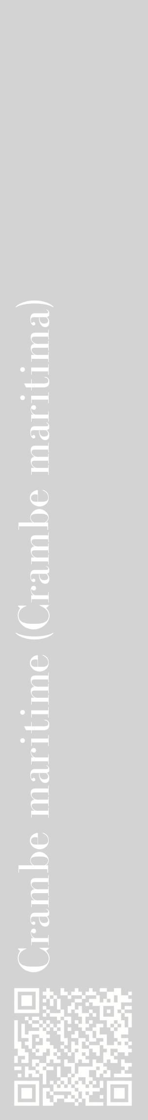 Étiquette de : Crambe maritima - format c - style blanche56_basiquebod avec qrcode et comestibilité