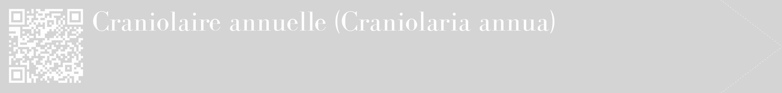 Étiquette de : Craniolaria annua - format c - style blanche40_simple_simplebod avec qrcode et comestibilité