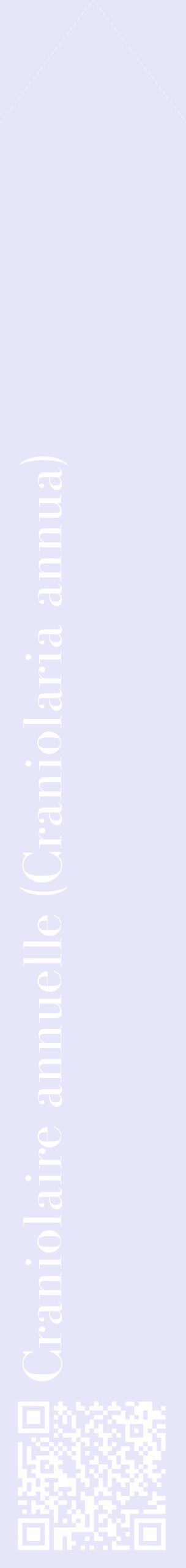 Étiquette de : Craniolaria annua - format c - style blanche55_simplebod avec qrcode et comestibilité