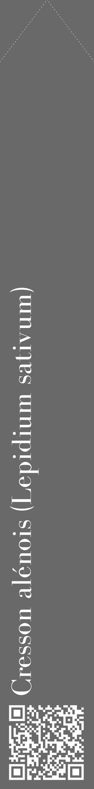 Étiquette de : Lepidium sativum - format c - style blanche11_simple_simplebod avec qrcode et comestibilité - position verticale