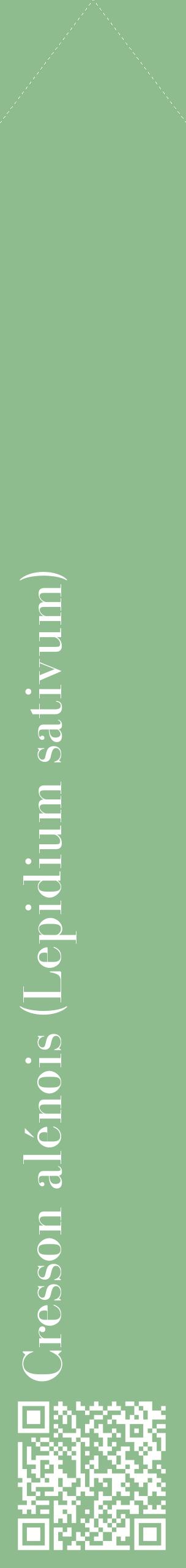 Étiquette de : Lepidium sativum - format c - style blanche13_simplebod avec qrcode et comestibilité