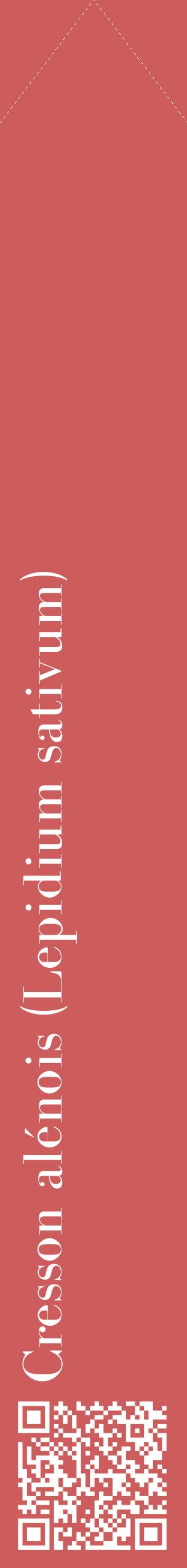 Étiquette de : Lepidium sativum - format c - style blanche35_simple_simplebod avec qrcode et comestibilité - position verticale
