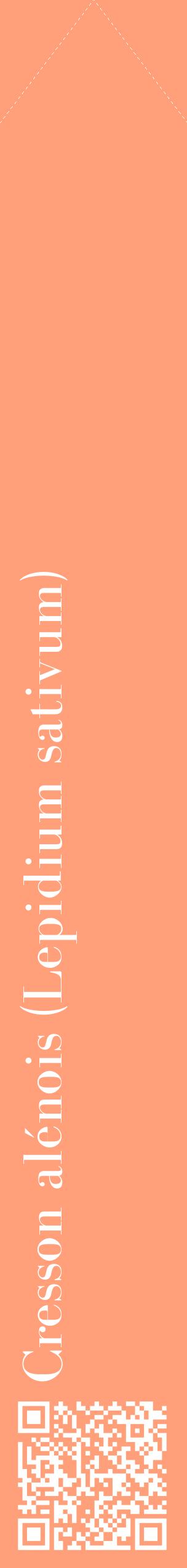 Étiquette de : Lepidium sativum - format c - style blanche39_simplebod avec qrcode et comestibilité