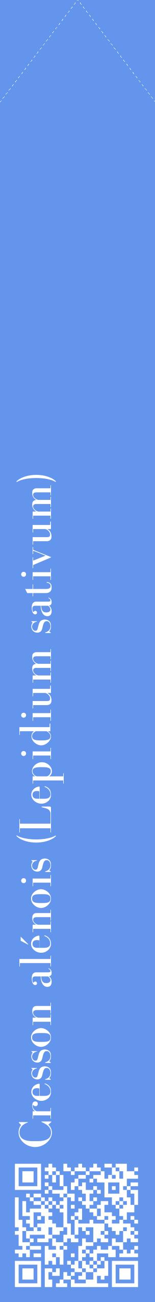 Étiquette de : Lepidium sativum - format c - style blanche4_simplebod avec qrcode et comestibilité