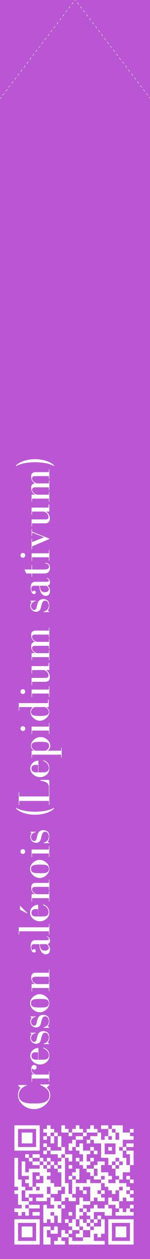 Étiquette de : Lepidium sativum - format c - style blanche50_simple_simplebod avec qrcode et comestibilité - position verticale