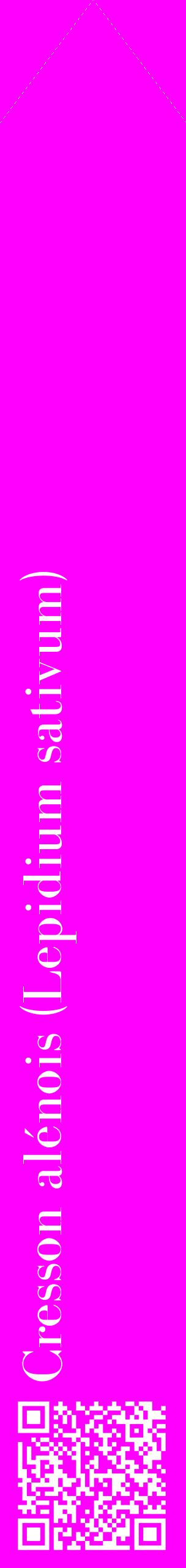 Étiquette de : Lepidium sativum - format c - style blanche51_simplebod avec qrcode et comestibilité
