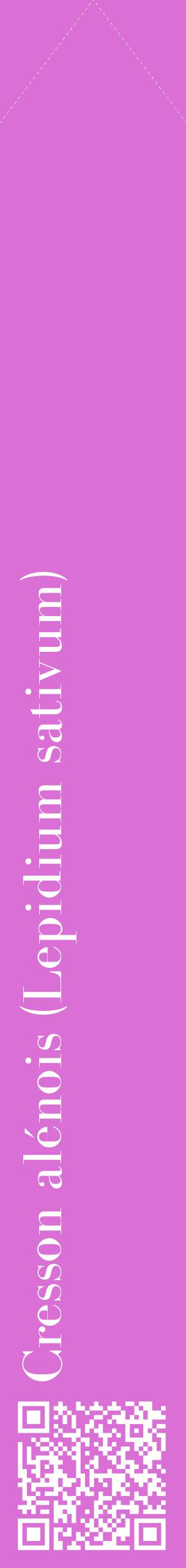 Étiquette de : Lepidium sativum - format c - style blanche52_simplebod avec qrcode et comestibilité