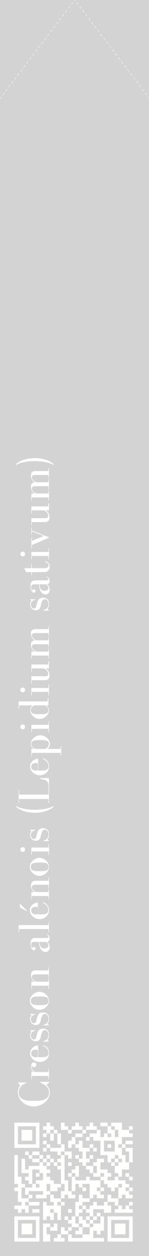 Étiquette de : Lepidium sativum - format c - style blanche56_simplebod avec qrcode et comestibilité